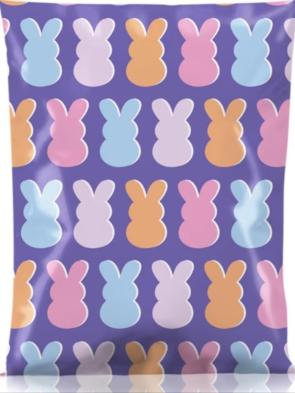 25ct, 10x13 POLY MAILERS